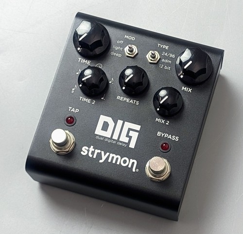 Strymon dig dual digital - -dual,